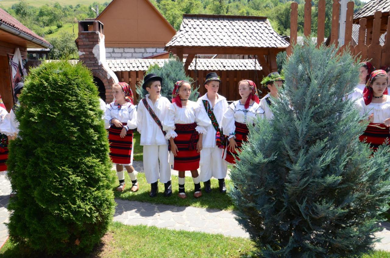 Pensiunea Cretuca Botiza Exteriör bild