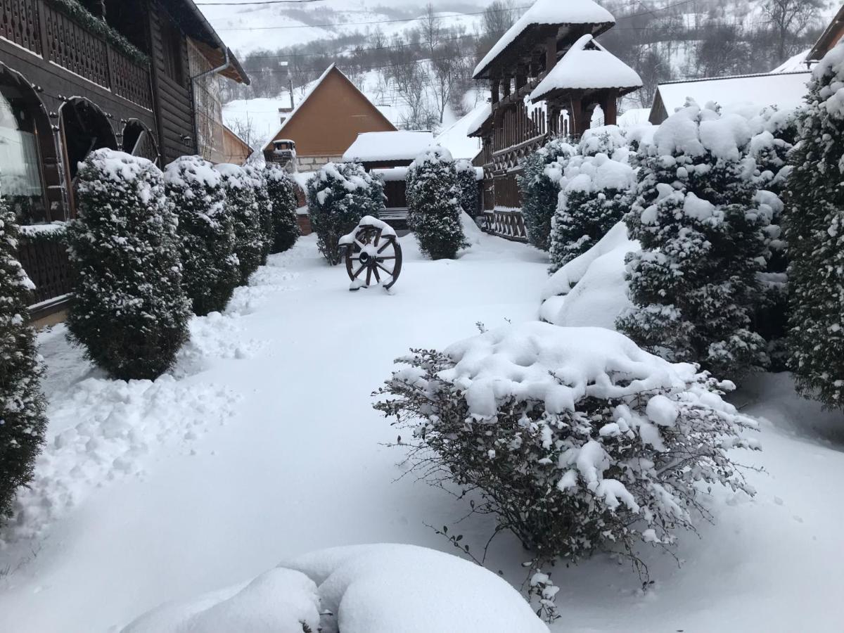 Pensiunea Cretuca Botiza Exteriör bild